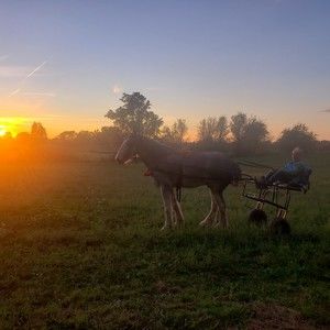 Meet your Posher, Cathy